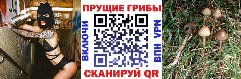 Галлюциногенные грибы прущие грибы  KRAKEN сайт  Нытва 
